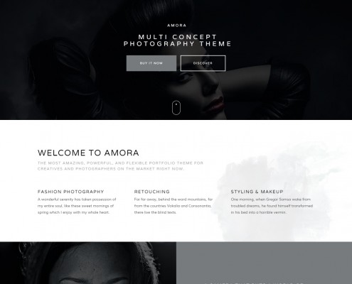 Amora - Creative Responsive Multi-Concept Theme