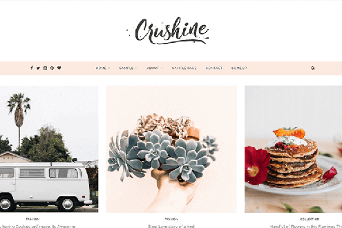 Crushine - Clean WordPress Theme