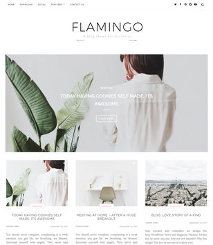 Flamingo Blogger Templates