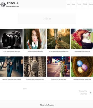 Fotolia Photography Blogger Templates