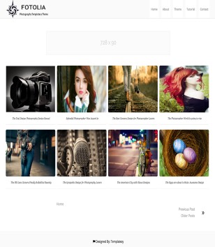 Fotolia Photography Blogger Templates