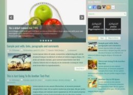 HealthBlog Blogger Templates