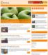 HealthyLiving Blogger Templates