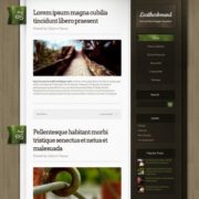 Leatherbound Blogger Templates