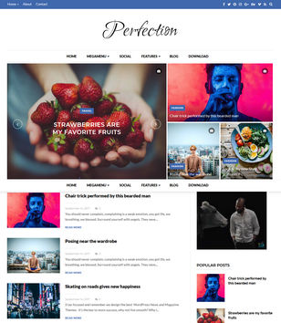 Perfection Blogger Templates