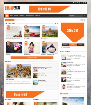 Punjab Press v5 Responsive Blogger Templates