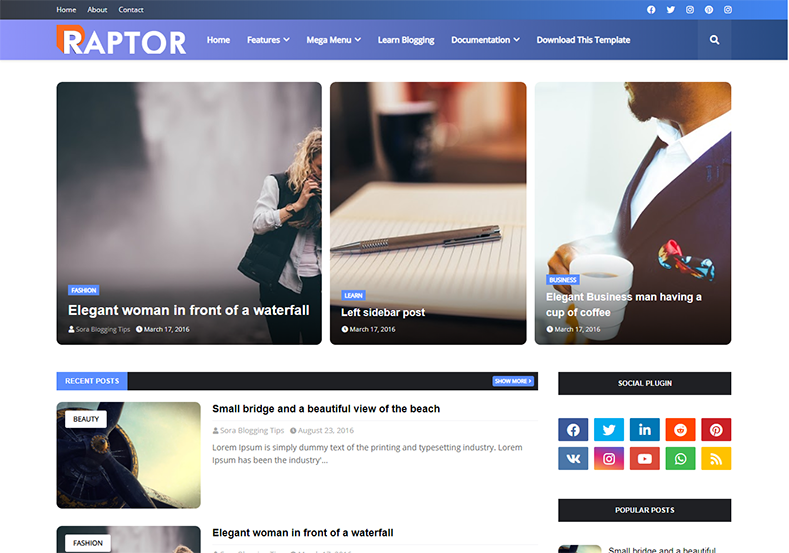 Raptor Blogger Template is a fast loading flexible and elegant looking professionally designed semi magazine theme with seo friendly code and latest features