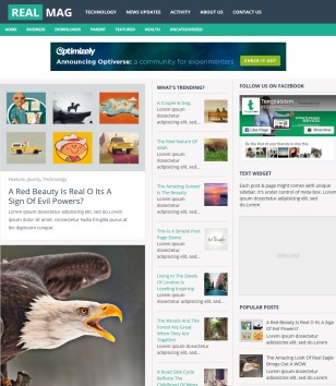 RealMag Responsive Blogger Templates