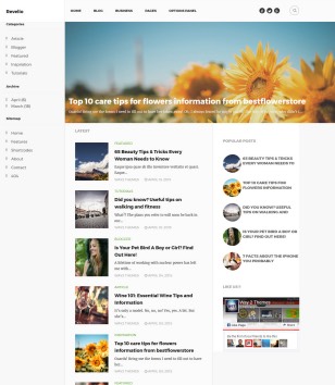 Revelio Blogger Templates