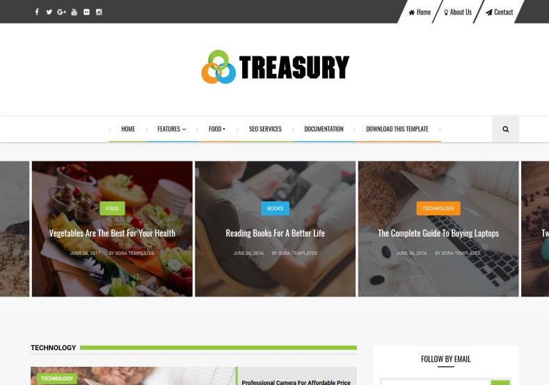 Treasury Blogger Template