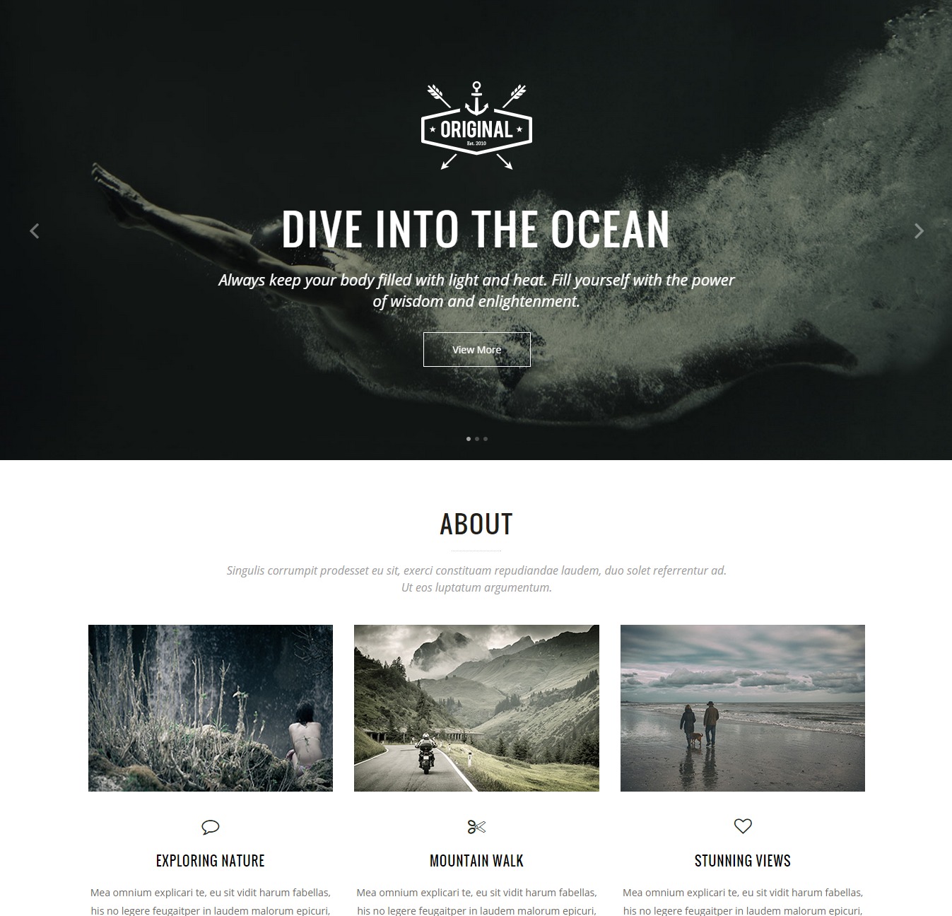 Vigor WordPress Theme