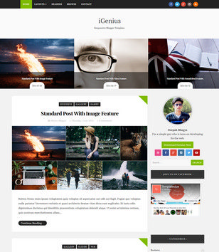 iGenius Blogger Templates